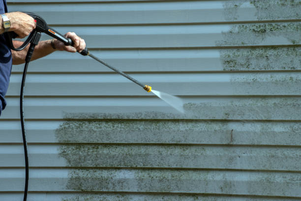 Best Driveway Cleaning and Restoration in Pinedale, WY